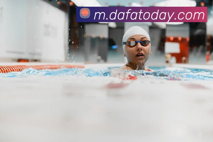 大发官网平台生态图